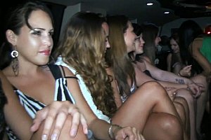 Bangbros com hd Porn